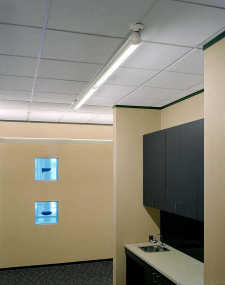 Accentra ceiling mount