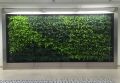 Delta Life Green Wall app