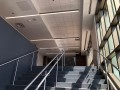 IMG 2986 g