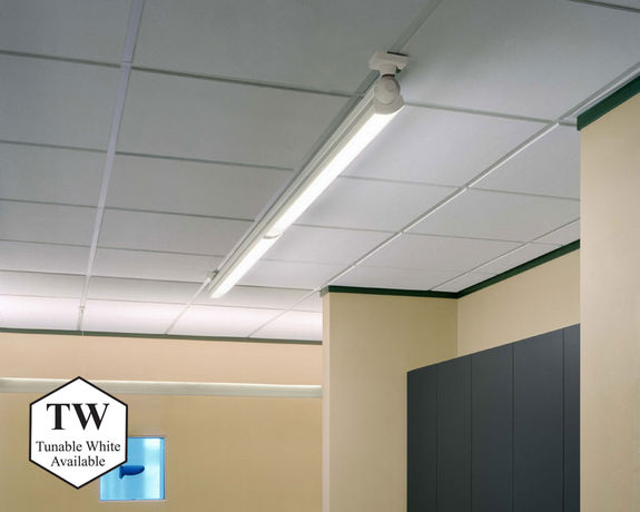 Accentra Ceiling Mount