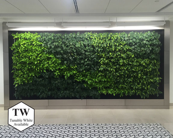 Delta Life Green Wall – Accentra Suspended Mount