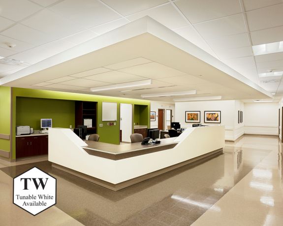 Microlinea Ceiling Mount Series 2