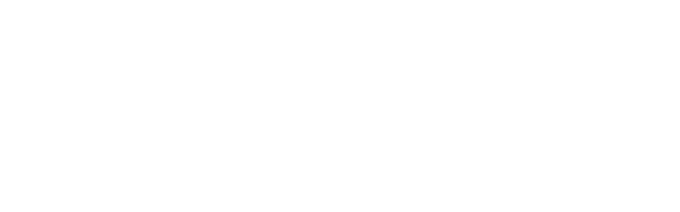Lasso logo